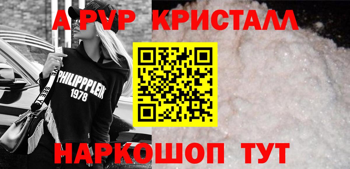 Альфа ПВП СК КРИС Сочи